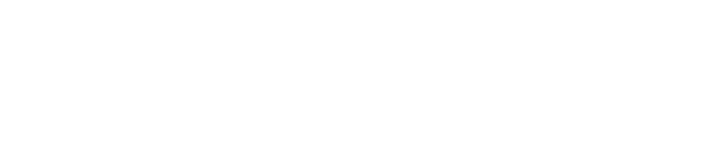 Wappzo Logo
